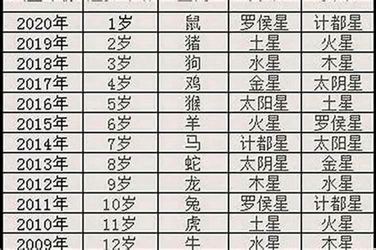 1977年属于什么年什么命