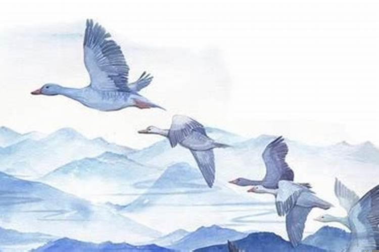 五言七绝七律有什么区别