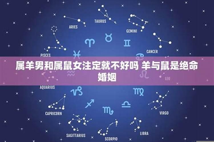 属羊人和属鼠人的婚姻