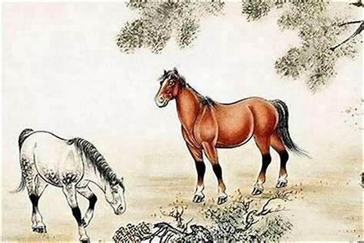 生肖马适合做什么生意