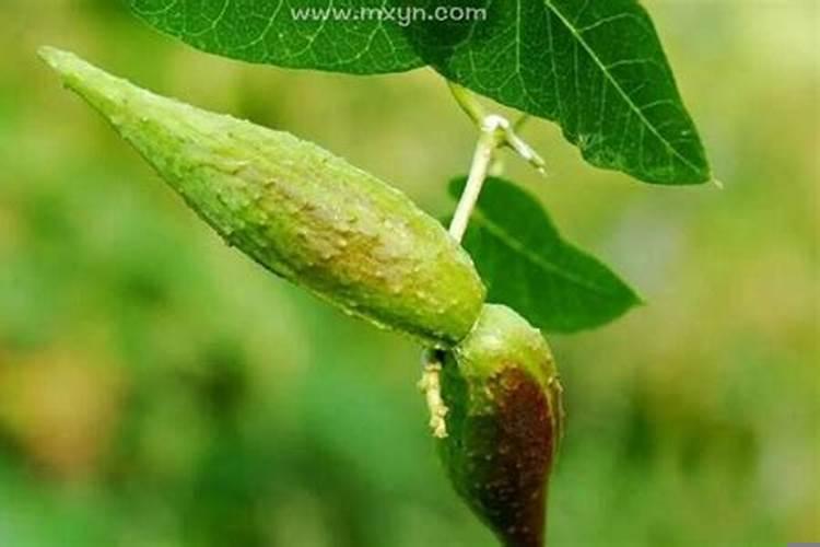 梦见看见别人车拉个棺材预示什么呢