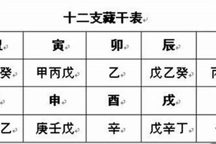 八字里天干重要还是地支重要?