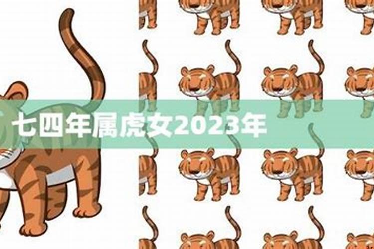 七四女虎今年财运怎样