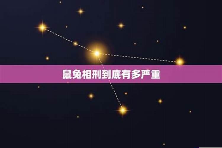 女鼠男兔相刑严重吗