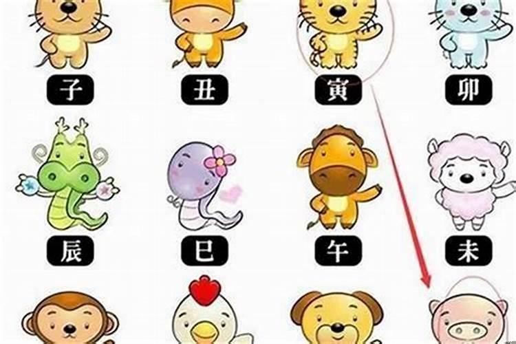 婚姻中最好命的3个生肖女