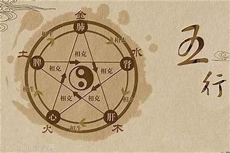 帮我算个命九三年三月农历十九