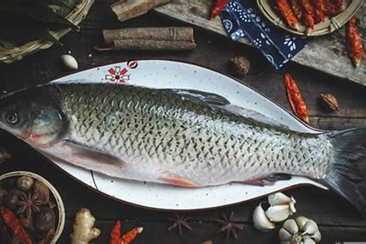 梦见一盆小鱼满哪蹦