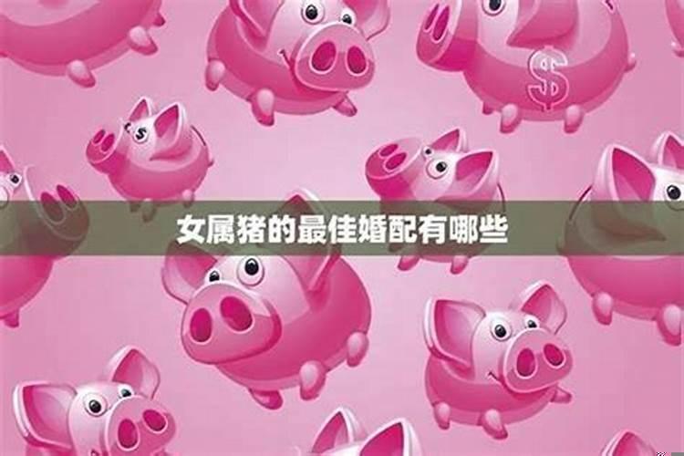 女生属猪的最佳婚配
