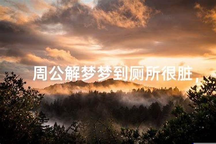 做梦经常梦见很脏的厕所