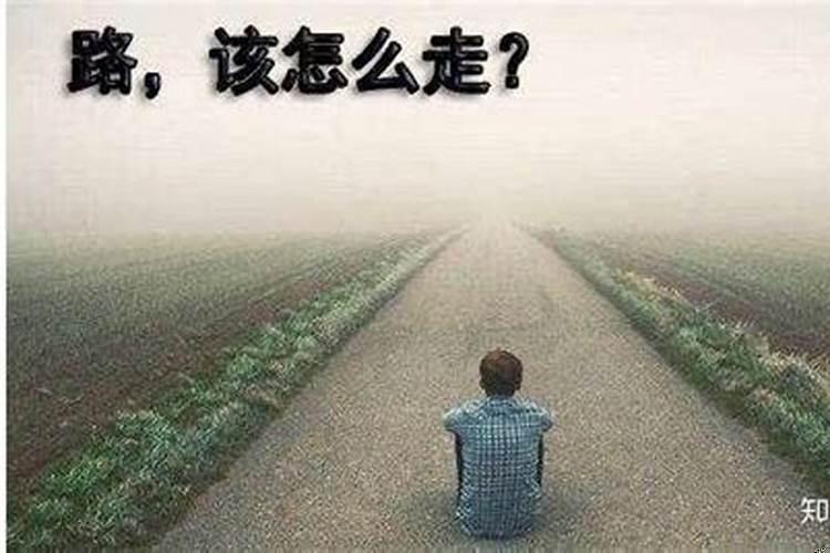 前路迷茫，何去何从