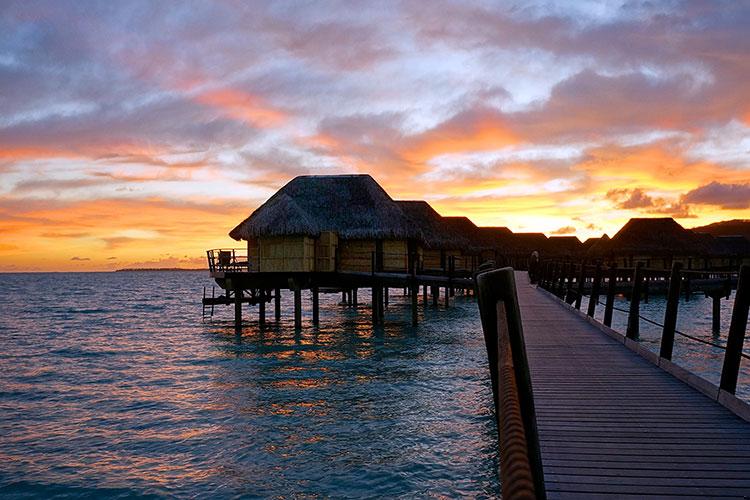 前路迷茫，何去何从