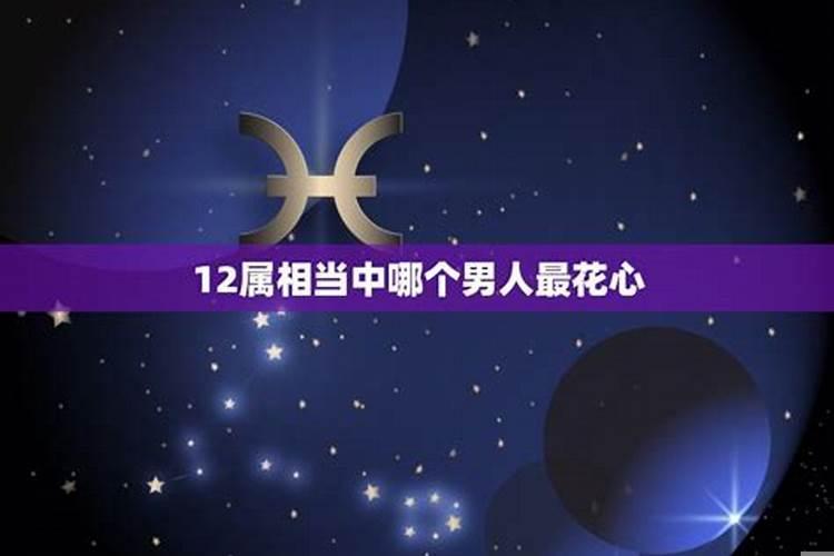 什么生肖的男人最花心