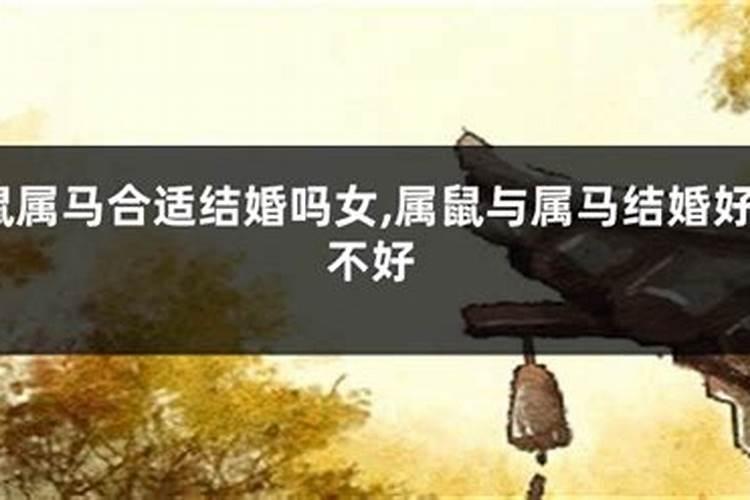 属马的和属鼠的婚姻合适吗