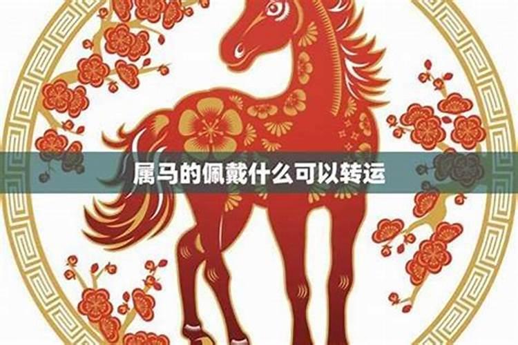 属马的今年多大了2022