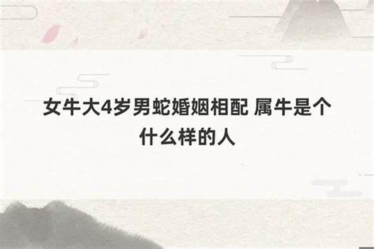 男属牛，女属蛇相配吗