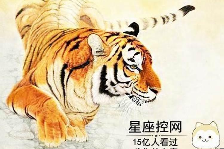 越老越身体出轨的生肖女