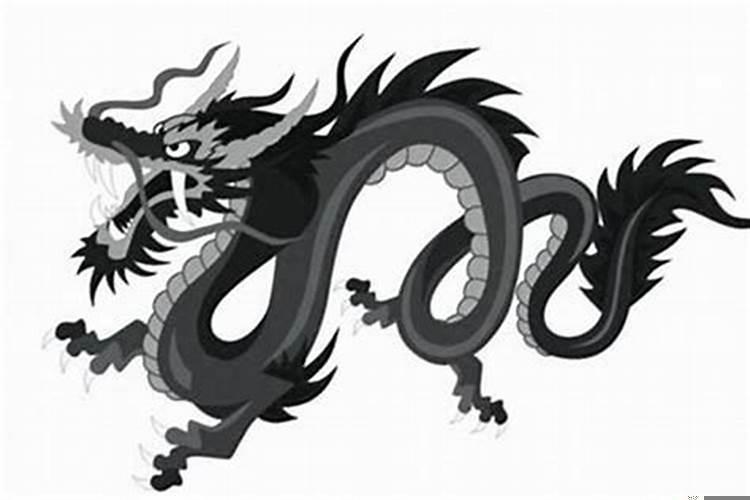 属龙的住几楼最吉利2000年