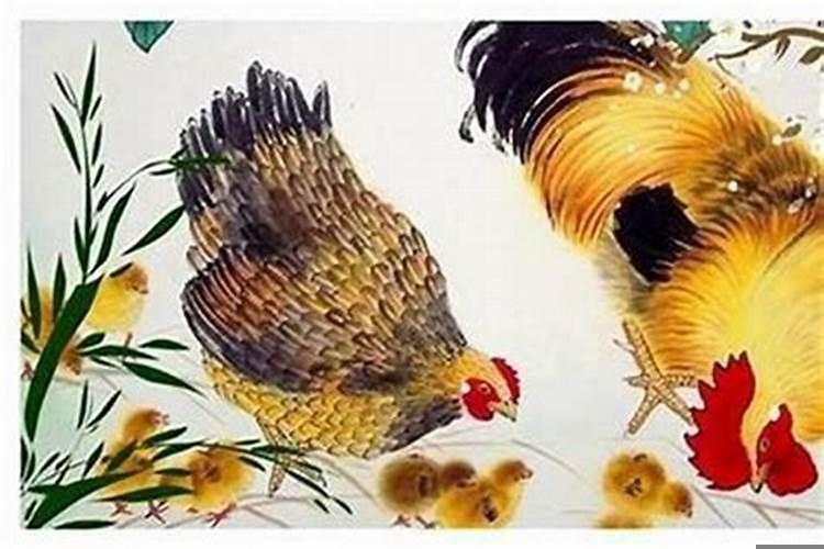 81年属鸡正月出生是什么命