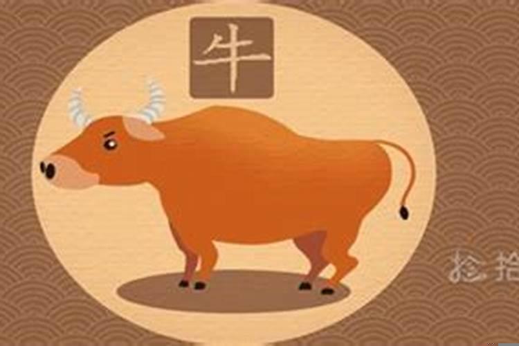 女孩出生的最佳农历日期