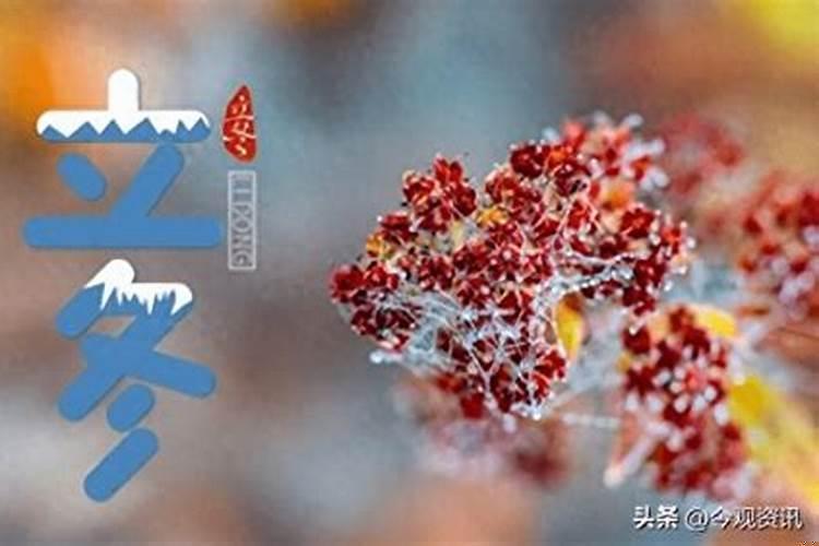 今年两春夹一冬