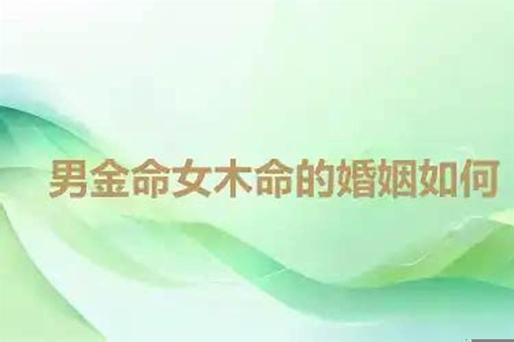 男金命和女木命的婚姻如何