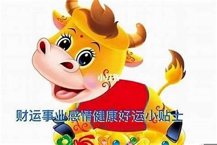 85年属牛36岁有一灾2025