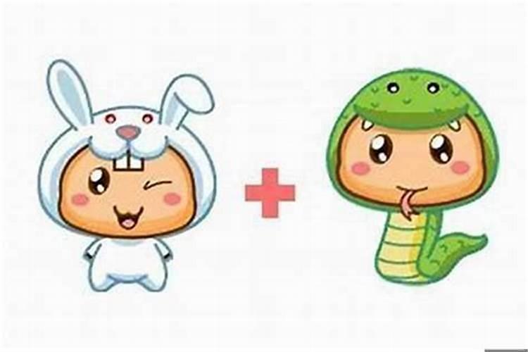 属蛇在兔年结婚好不好