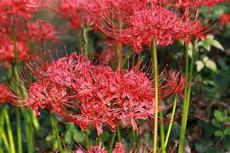 赣安高速什么时候动工修建