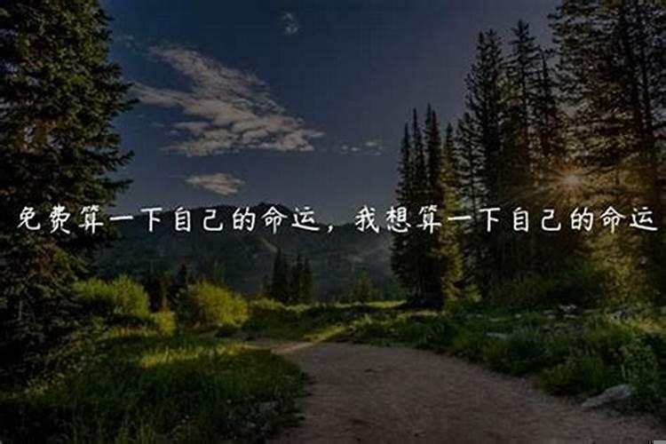 十神论命是什么意思