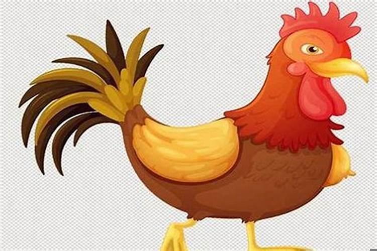 属鸡的人怕什么属相