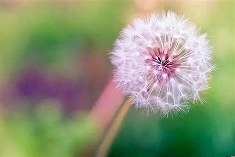 2021孩子本命年，妈妈应该送什么好