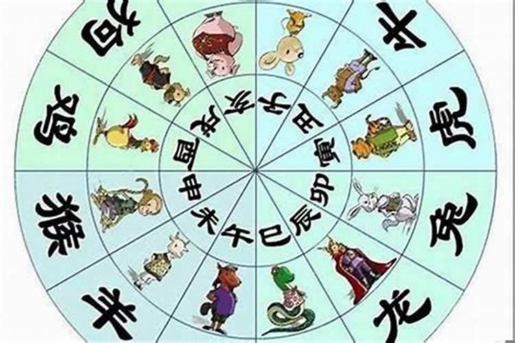 属兔应该穿什么颜色