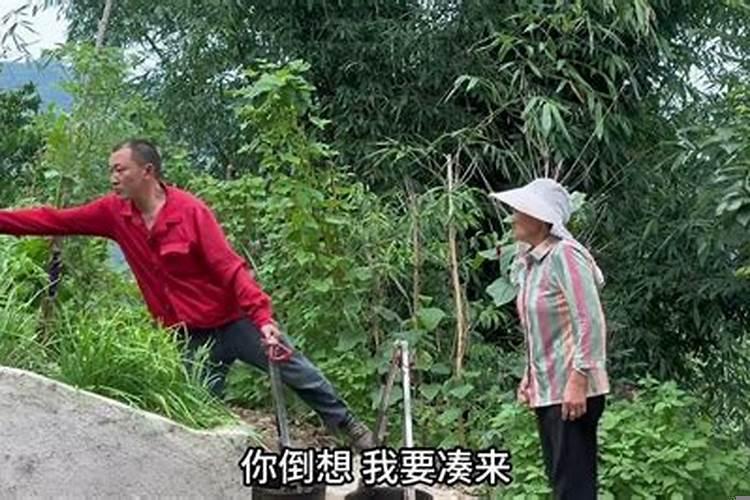 有一种爱叫隔代亲是什么意思