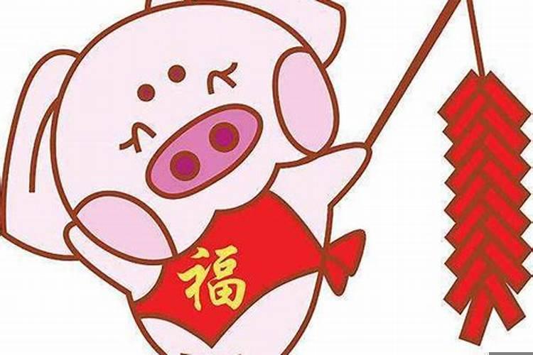 属猪人哪一年的运气不好呢