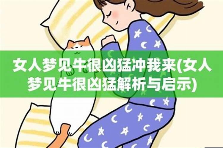 女人梦见牛很凶猛冲我来被人打死