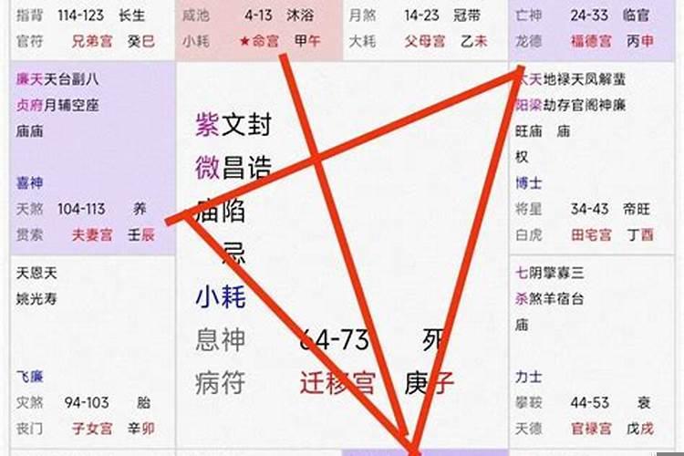 紫薇星入命怎么看