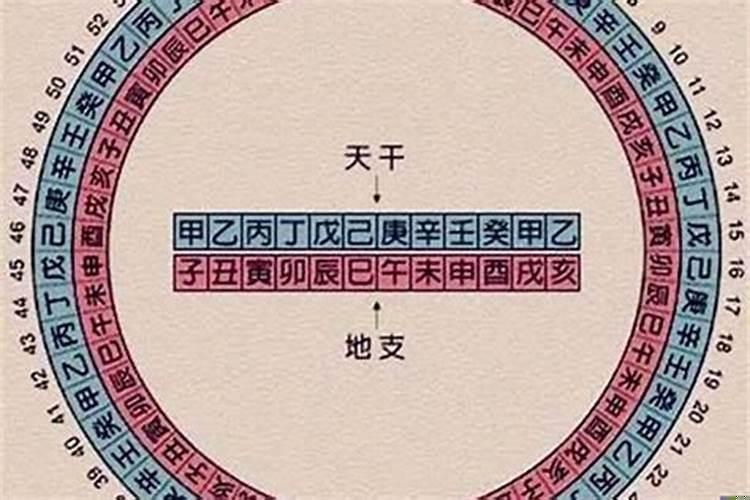 生肖五行属性是什么意思