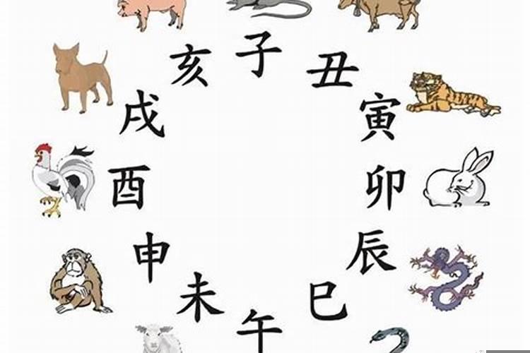 2025年的干支纪年是哪一年?