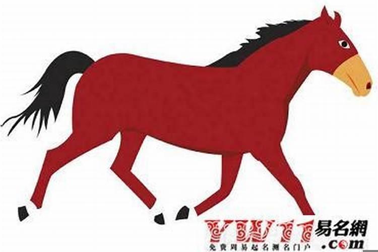 男马和什么属相最配婚姻