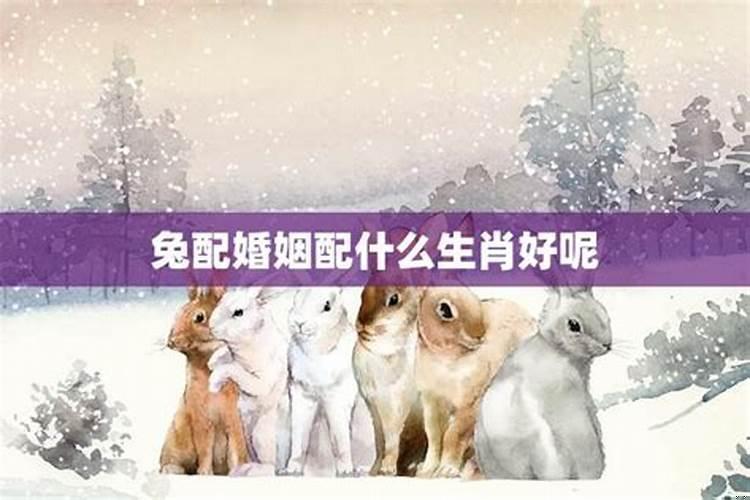 最佳的配偶应该是