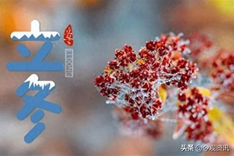 今年两春夹一冬