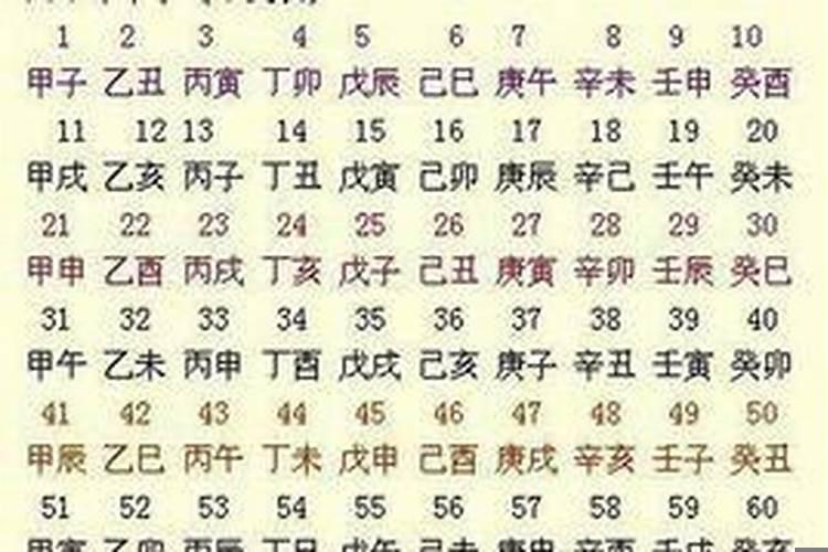 葵子年是哪一年属什么