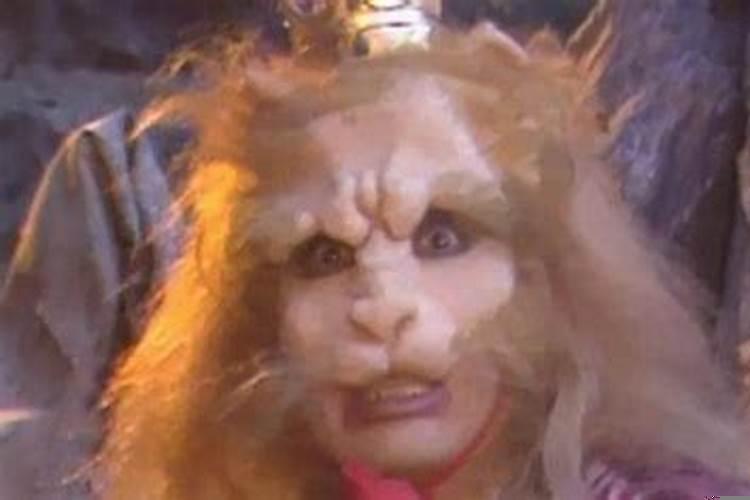 当高傲的狮子低下了头