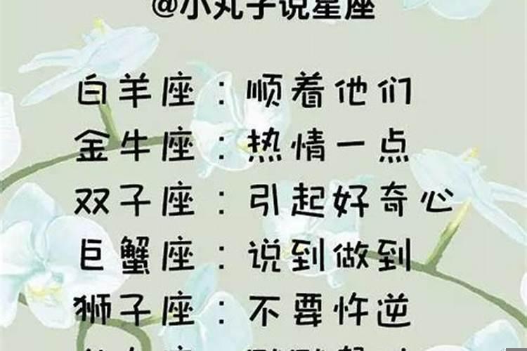 十二星座十二生肖婚配