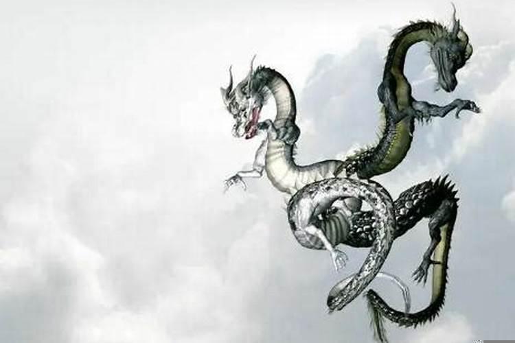 无依无靠的生肖