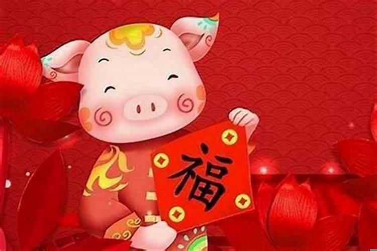 农历2月属猪的命运如何