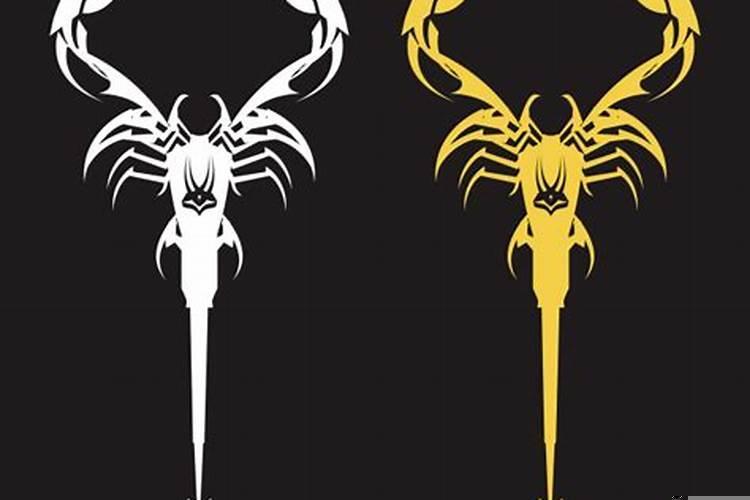 怎样拿住天蝎男的心