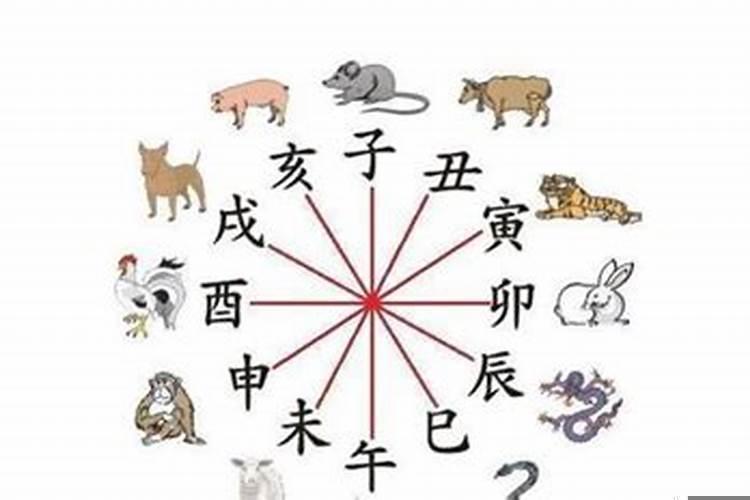 生肖相冲的人可以结婚吗