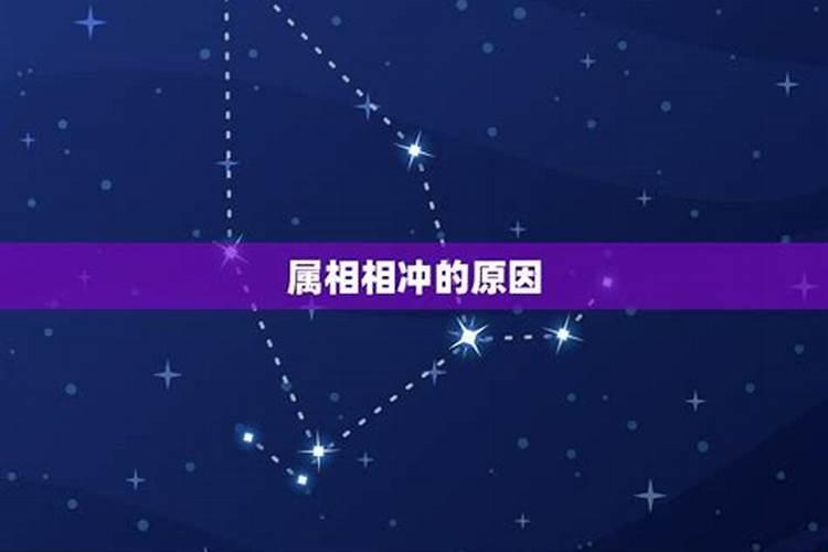 父子生肖相冲怎么化解