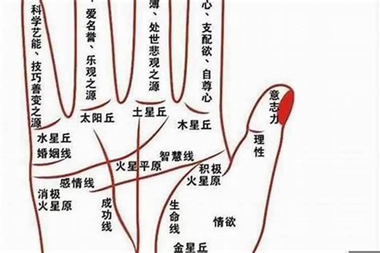 手不漏财的人怎样